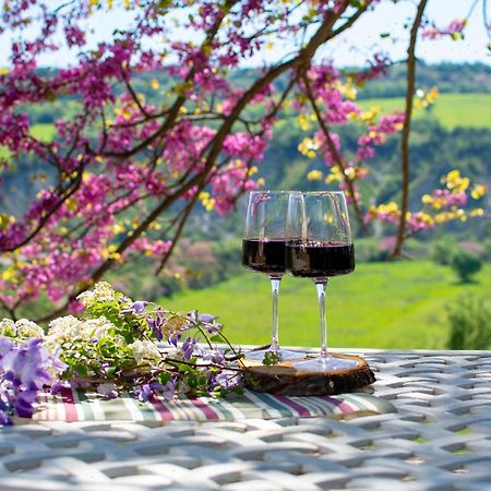 I Sicomori - Seme Di Carota - Glamping E Appartamenti Con Piscina A Saturnia Exterior foto
