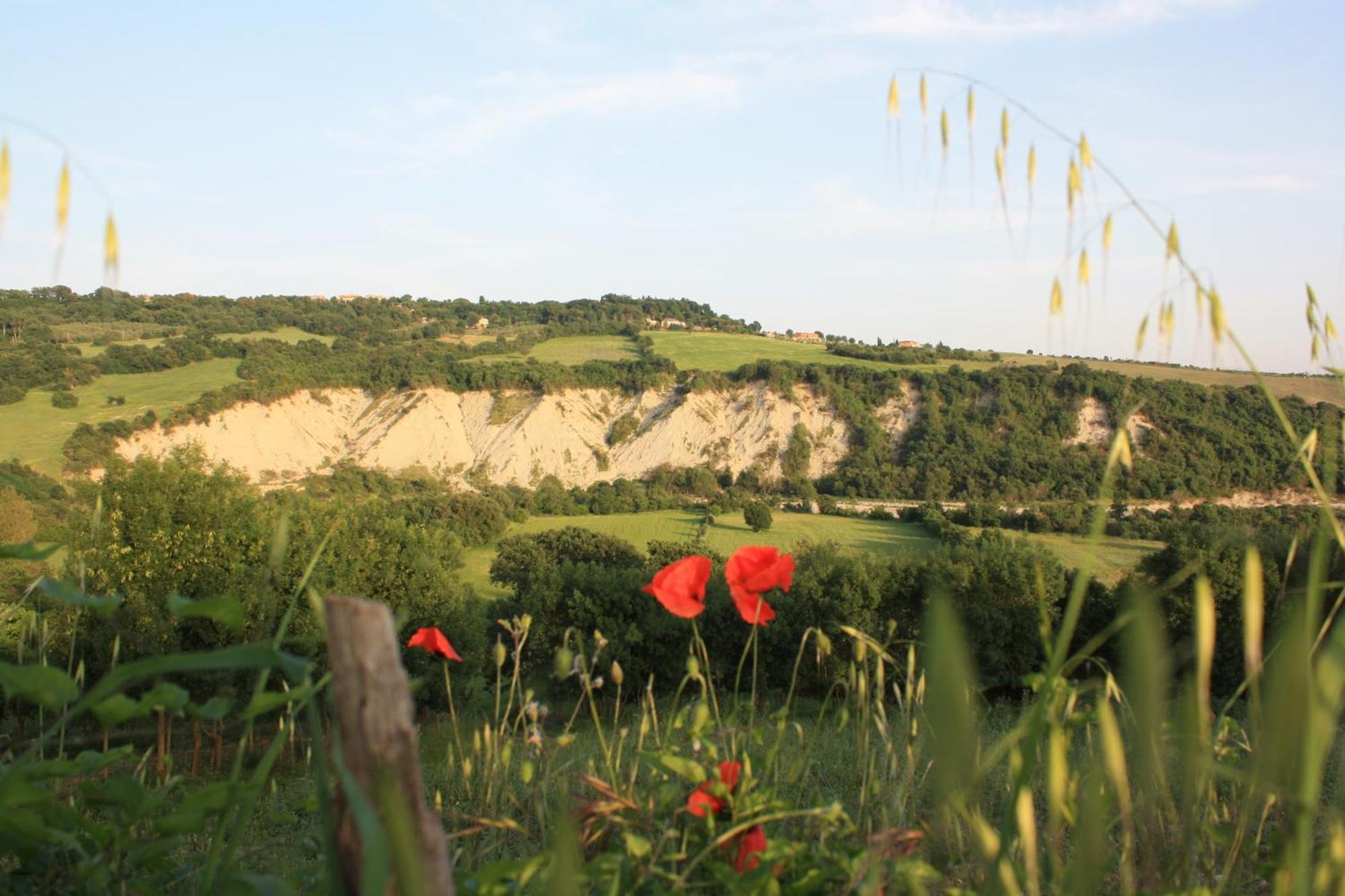 I Sicomori - Seme Di Carota - Glamping E Appartamenti Con Piscina A Saturnia Exterior foto